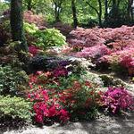 Newington Cafe & Restaurant